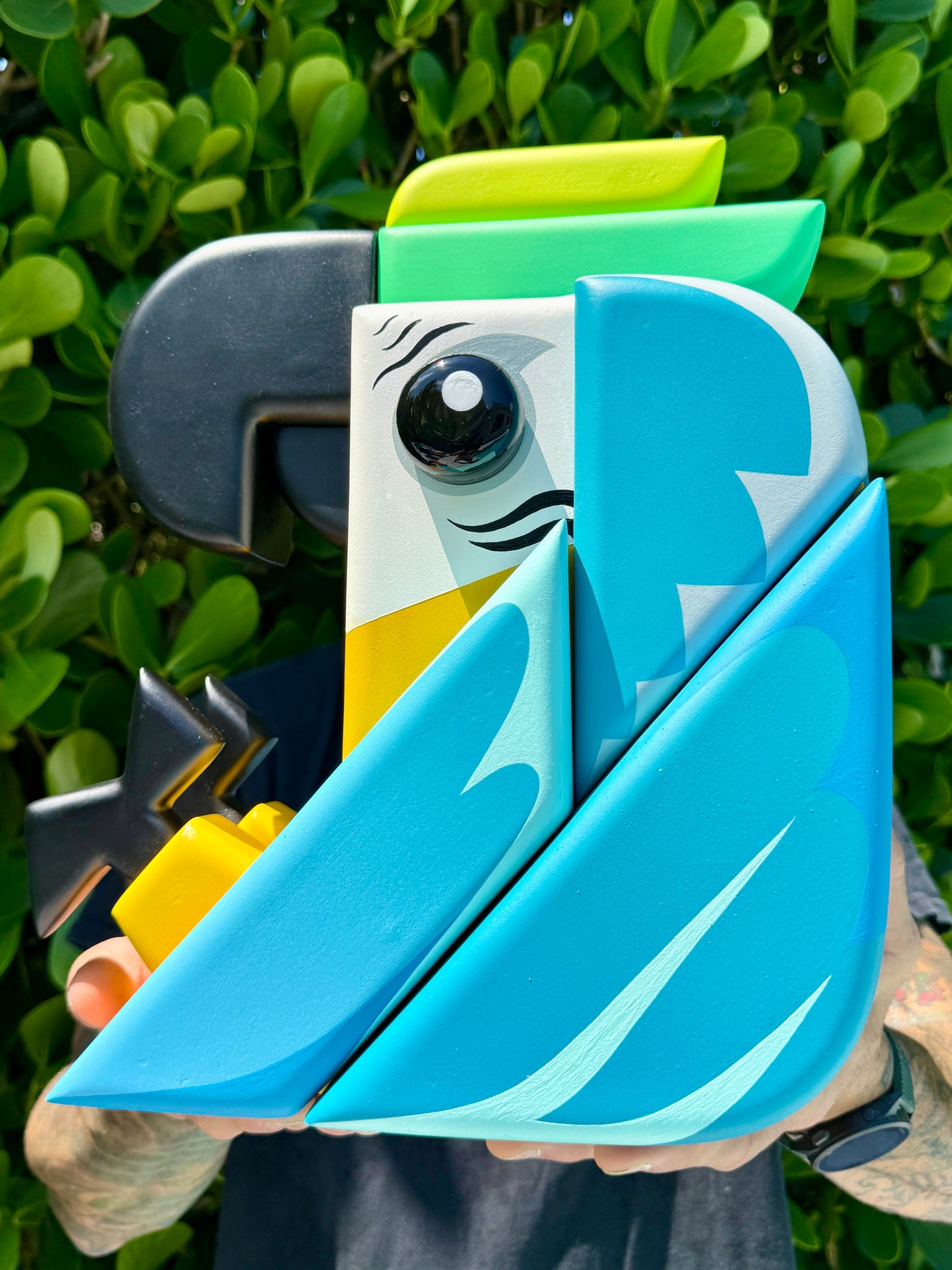 “Macaw Azul”